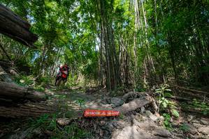 BIB: 
                            <button type="button" onclick="openModal(19394020)" class="btn btn-primary btn-sm float-right btn-popup" data-toggle="modal" data-target=".modal-high-quality">
                        <i class="fas fa-shopping-cart"></i> Add to Cart
                    </button>
                                            <button type="button" onclick="isThisMe(19394020, true)" class="btn btn-success btn-sm float-right btn-popup btn-isme hidden" data-toggle="tooltip" data-placement="bottom" title="นี่คือรูปของคุณใช่ไหม คลิกที่นี่เพื่อเอาเข้าอัลบั้ม">
                        <i class="fas fa-plus"></i> Add to album
                    </button>
                    <button type="button" onclick="isThisMe(19394020, false)" class="btn btn-warning btn-sm float-right btn-popup btn-isnotme hidden">
                        <i class="fas fa-ban"></i> Remove from album
                    </button>